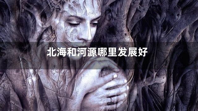 北海和河源哪里发展好