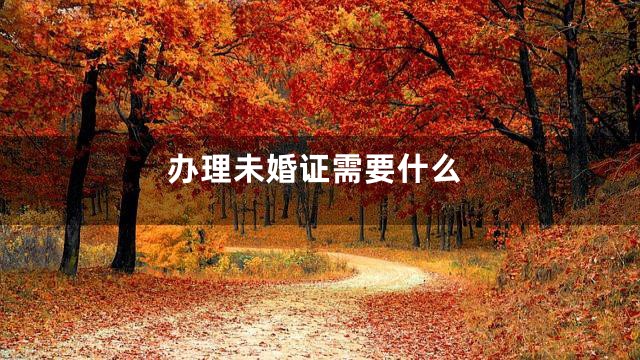 办理未婚证需要什么