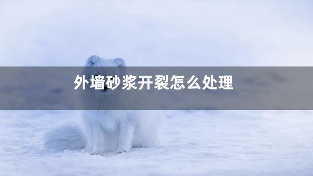 外墙砂浆开裂怎么处理