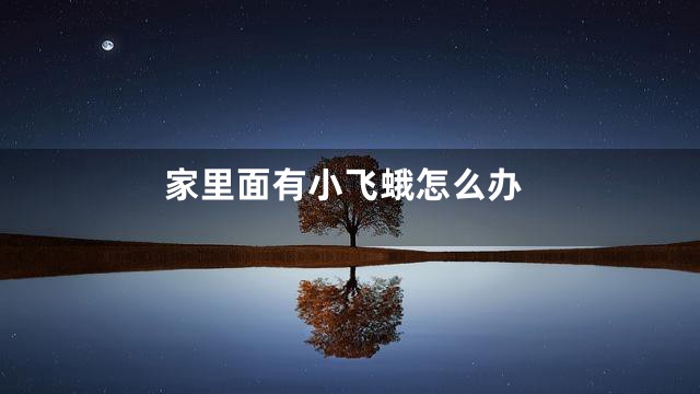 家里面有小飞蛾怎么办