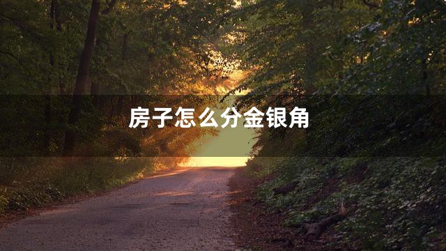 房子怎么分金银角