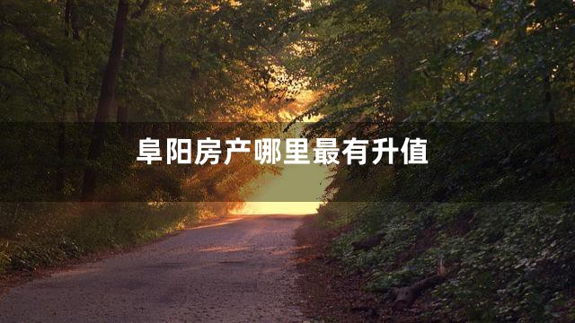 阜阳房产哪里最有升值