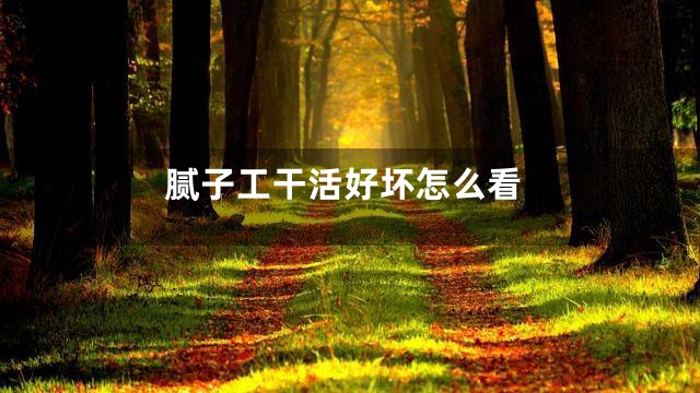 腻子工干活好坏怎么看