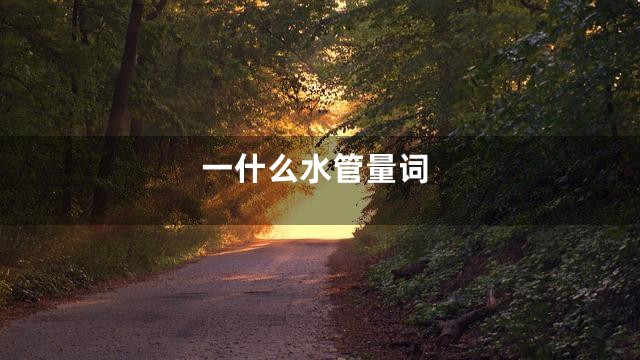 一什么水管量词