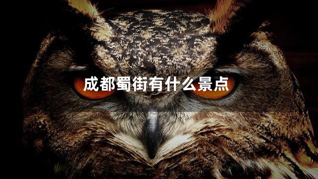 成都蜀街有什么景点