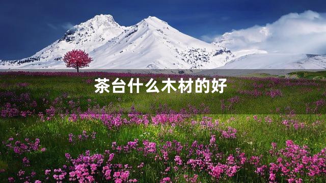 茶台什么木材的好