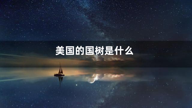 美国的国树是什么