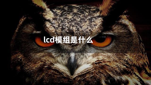 lcd模组是什么