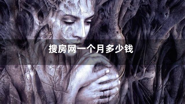 搜房网一个月多少钱