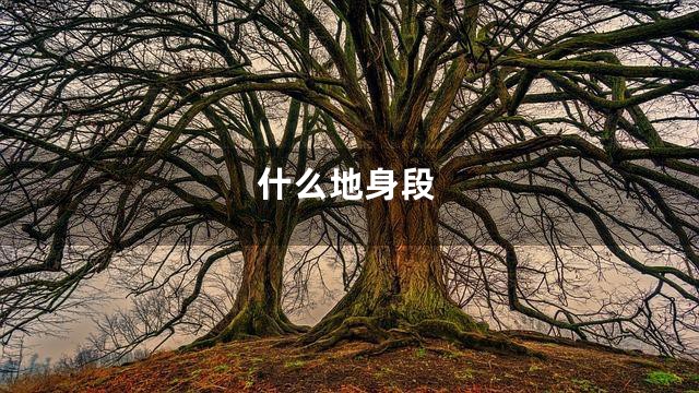 什么地身段