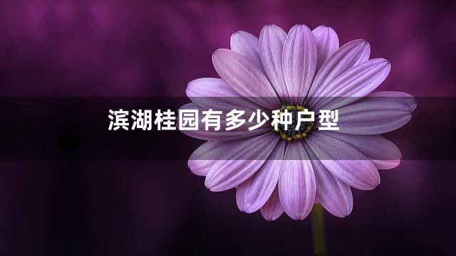 滨湖桂园有多少种户型