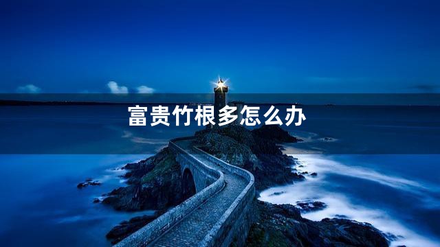 富贵竹根多怎么办