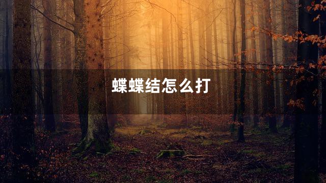 蝶蝶结怎么打
