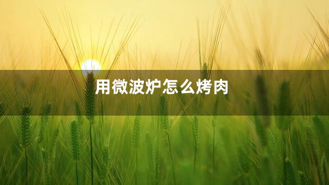 用微波炉怎么烤肉