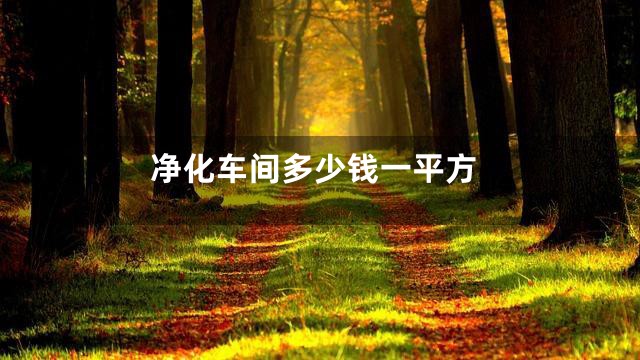 净化车间多少钱一平方