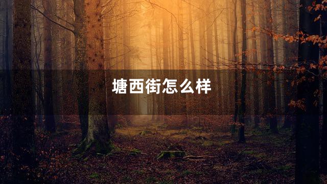塘西街怎么样