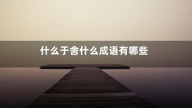 什么于舍什么成语有哪些