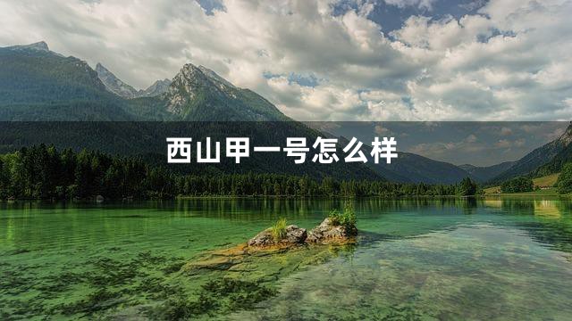 西山甲一号怎么样