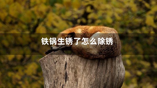 铁锅生锈了怎么除锈