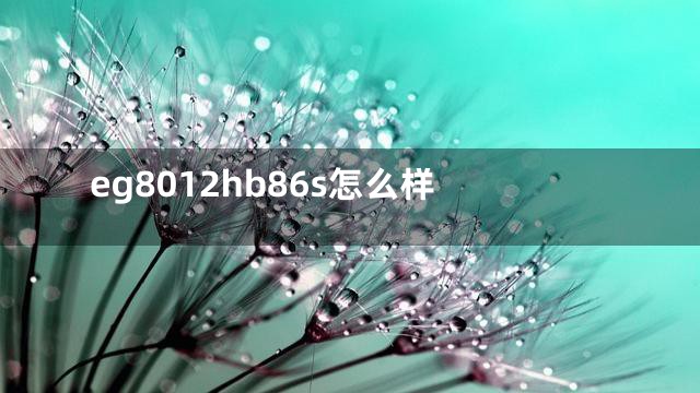 eg8012hb86s怎么样
