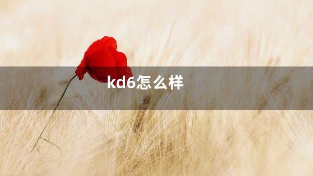 kd6怎么样