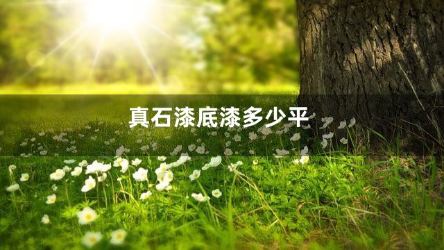 真石漆底漆多少平