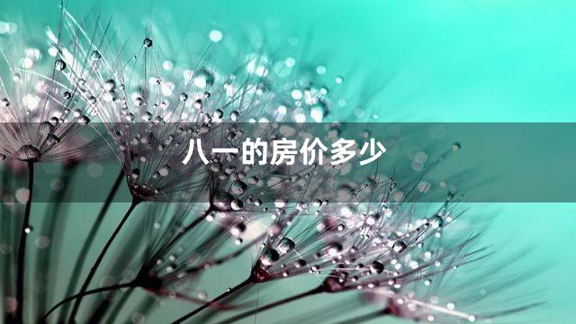 八一的房价多少