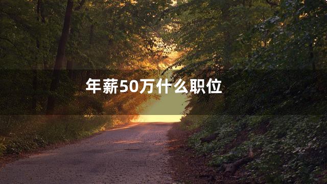 年薪50万什么职位