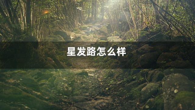 星发路怎么样