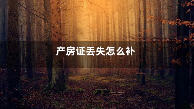 产房证丢失怎么补