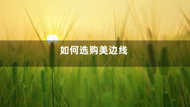 如何选购美边线