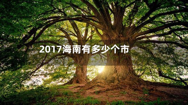 2017海南有多少个市