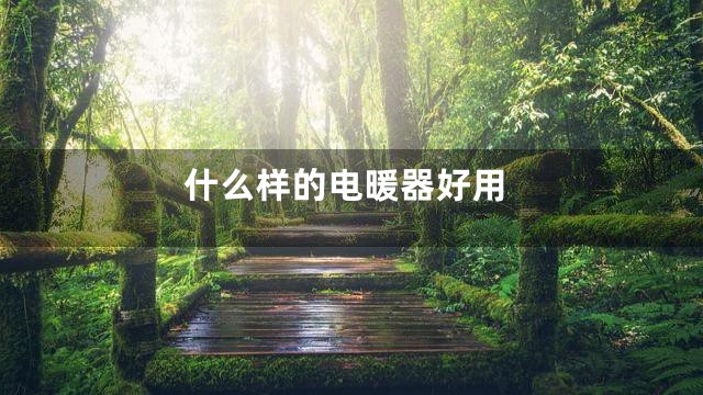 什么样的电暖器好用