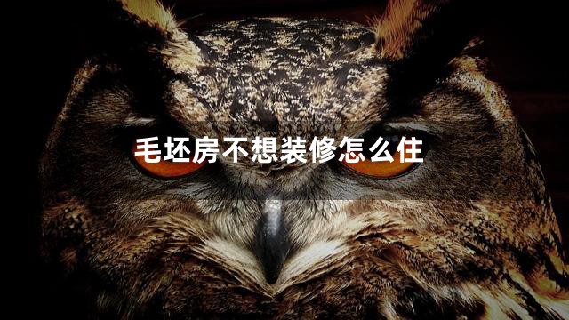 毛坯房不想装修怎么住