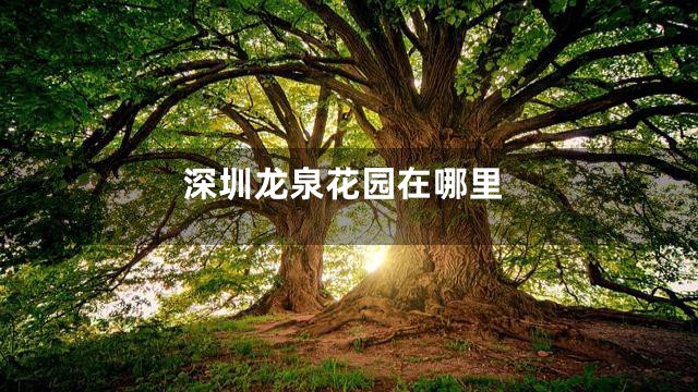 深圳龙泉花园在哪里