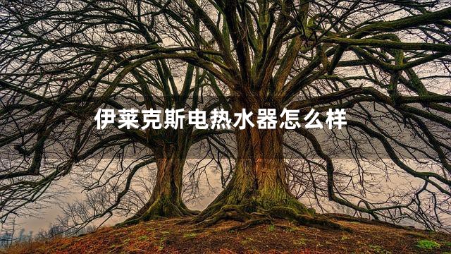 伊莱克斯电热水器怎么样
