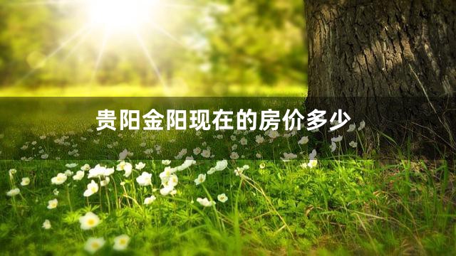 贵阳金阳现在的房价多少