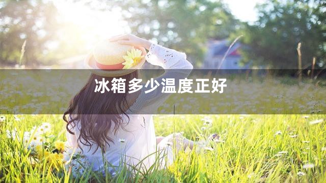 冰箱多少温度正好