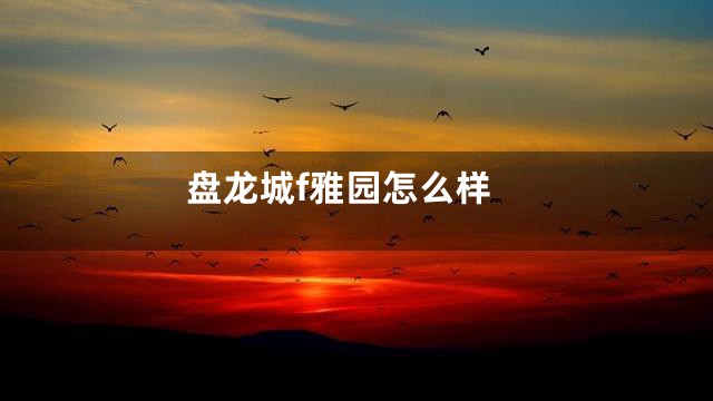 盘龙城f雅园怎么样