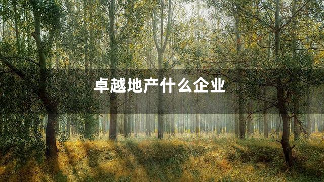 卓越地产什么企业