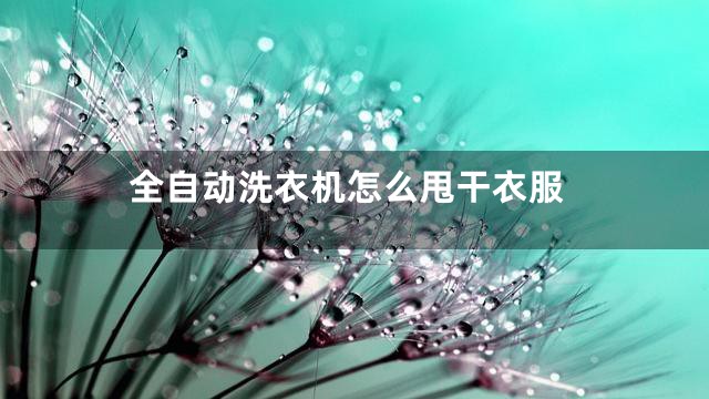 全自动洗衣机怎么甩干衣服