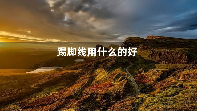 踢脚线用什么的好
