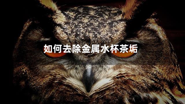 如何去除金属水杯茶垢