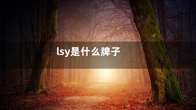 lsy是什么牌子