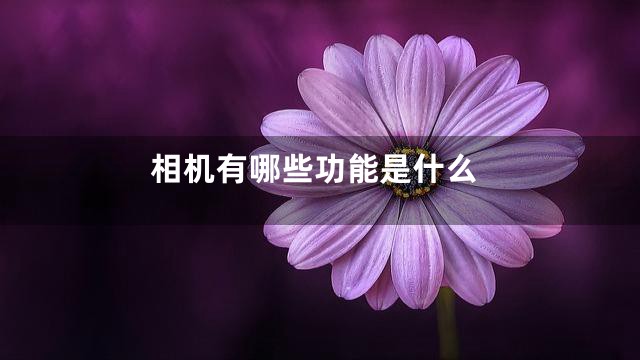 相机有哪些功能是什么