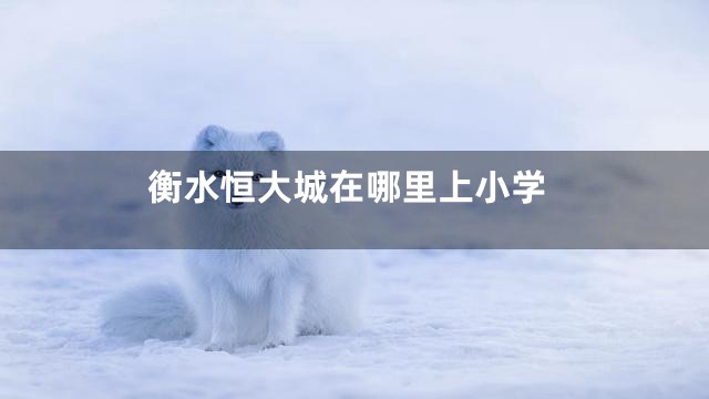 衡水恒大城在哪里上小学