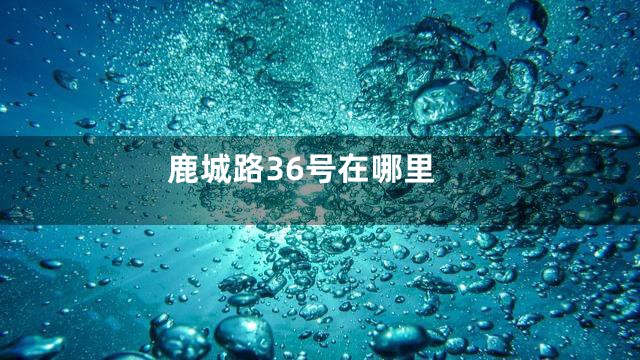 鹿城路36号在哪里