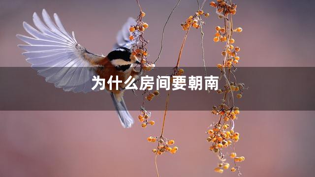 为什么房间要朝南