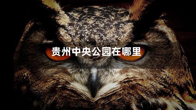贵州中央公园在哪里