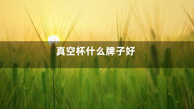 真空杯什么牌子好